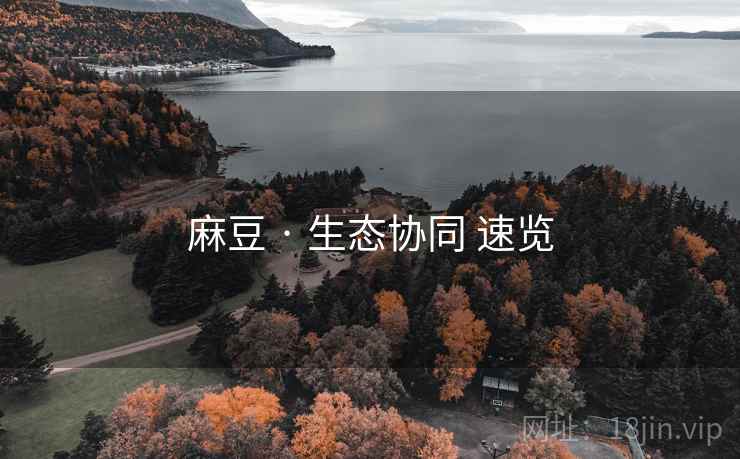 麻豆 · 生态协同 速览