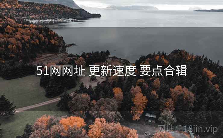 51网网址 更新速度 要点合辑