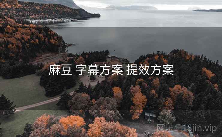 麻豆 字幕方案 提效方案