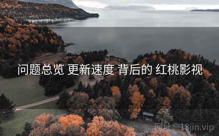 问题总览 更新速度 背后的 红桃影视