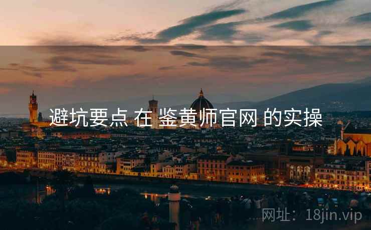 避坑要点 在 鉴黄师官网 的实操