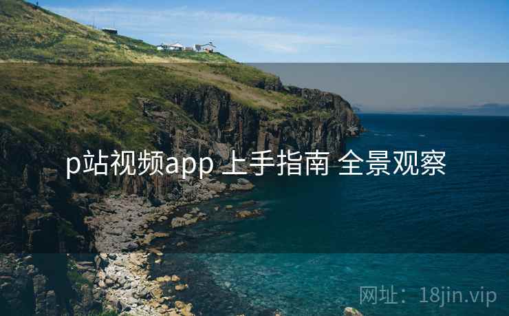 p站视频app 上手指南 全景观察